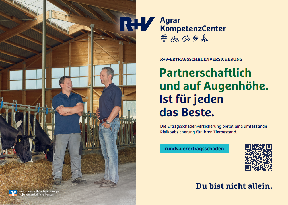 R+ Ertragsschaden Rind