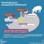 (c) DBV: Sauenhaltung Im Europaeischen Wettbewerb