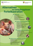 (c) BLE: Poster zu den Kastrationsalternativen