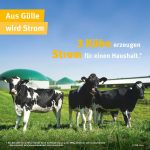 (c)FNR: aus Gülle wird Strom