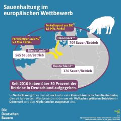 (c) DBV: Sauenhaltung Im Europaeischen Wettbewerb