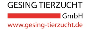 Gesing Logo klein